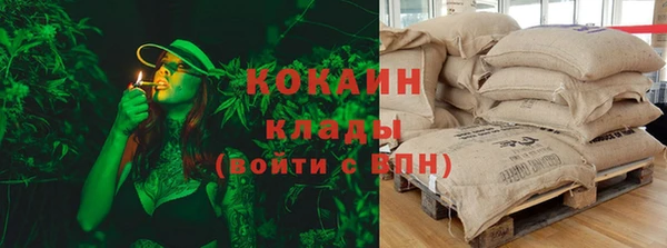 шишки Елизово