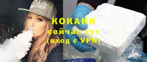 шишки Елизово
