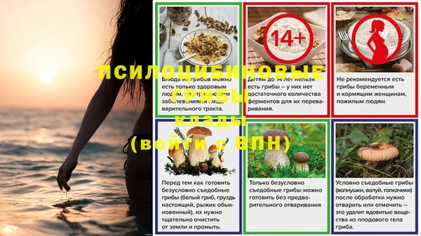 шишки Елизово