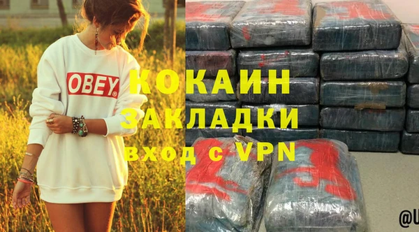 прущие крисы Ельня