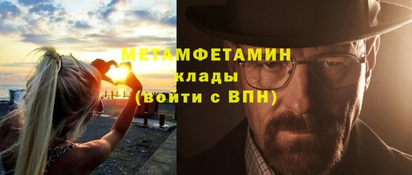 шишки Елизово