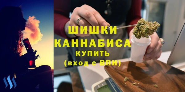 шишки Елизово