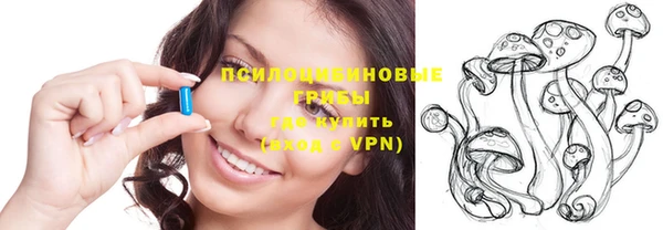 шишки Елизово