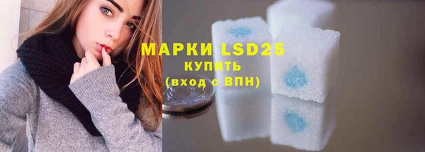шишки Елизово