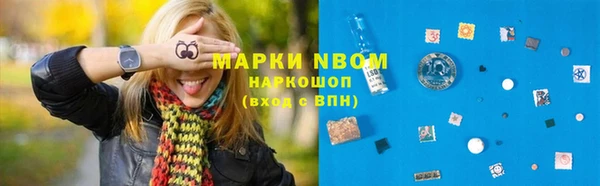 прущие крисы Ельня