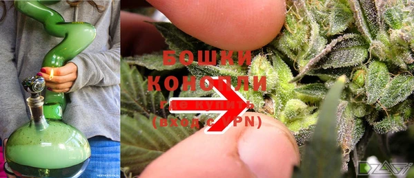 шишки Елизово