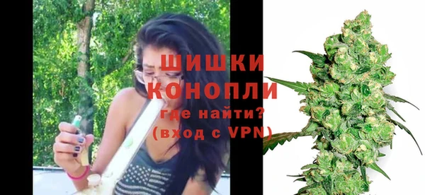 шишки Елизово