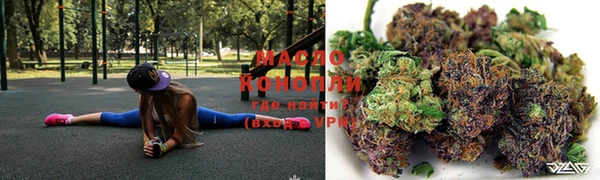 прущие крисы Ельня