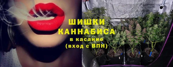 прущие крисы Ельня