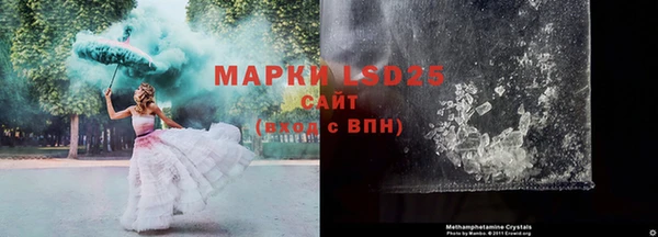 прущие крисы Ельня