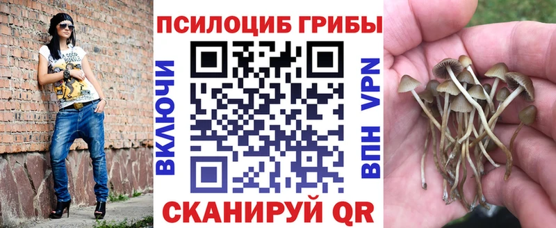 Галлюциногенные грибы Psilocybe  Купить закладки  Конаково 